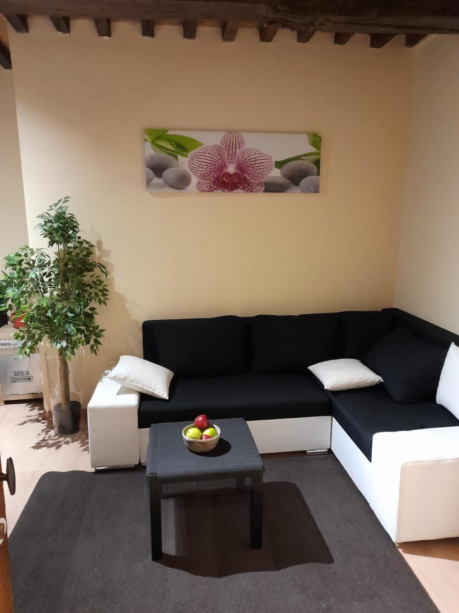 Cute,Cosy,Comfortable Studio In The Heart Of Antwerpen Apartment Ngoại thất bức ảnh